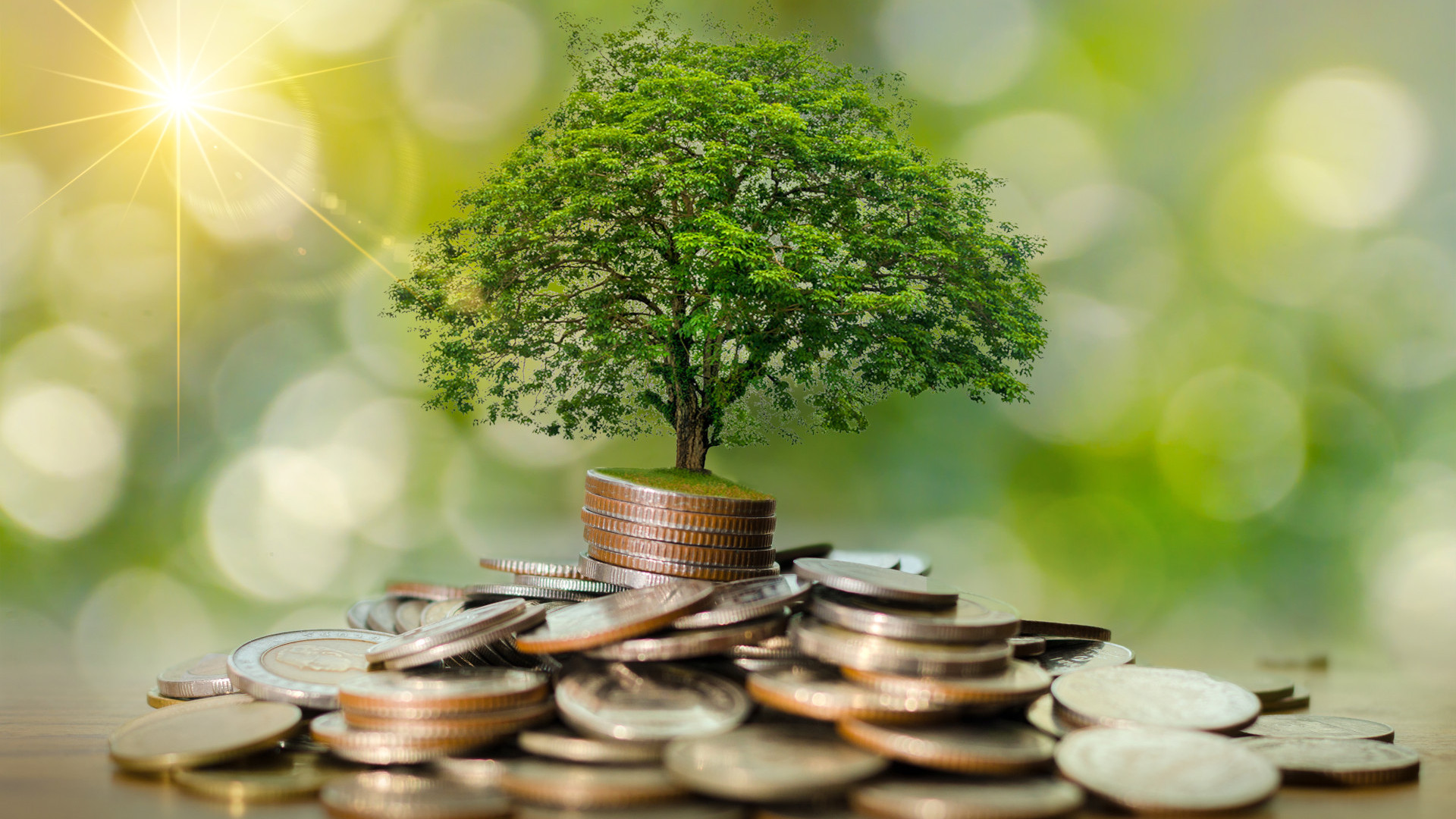 Klima Schwindel Waldh usl Ukraine Krieg Die Nachrichten AUF1 